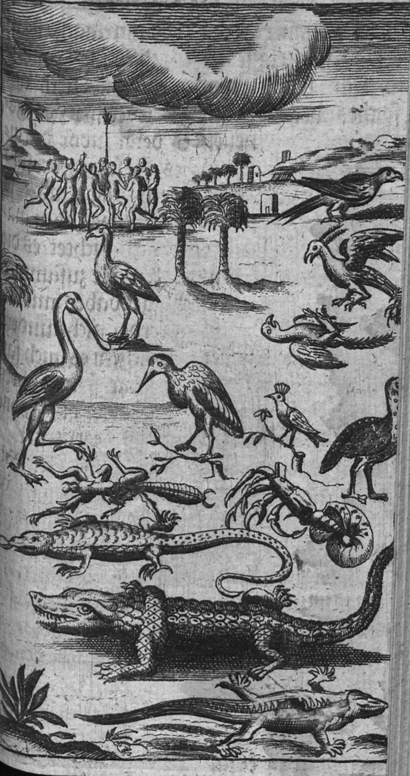 Lot 64, Auction  127, Blome, Richard, Englisches America oder kurtze doch deutliche Beschreibung 