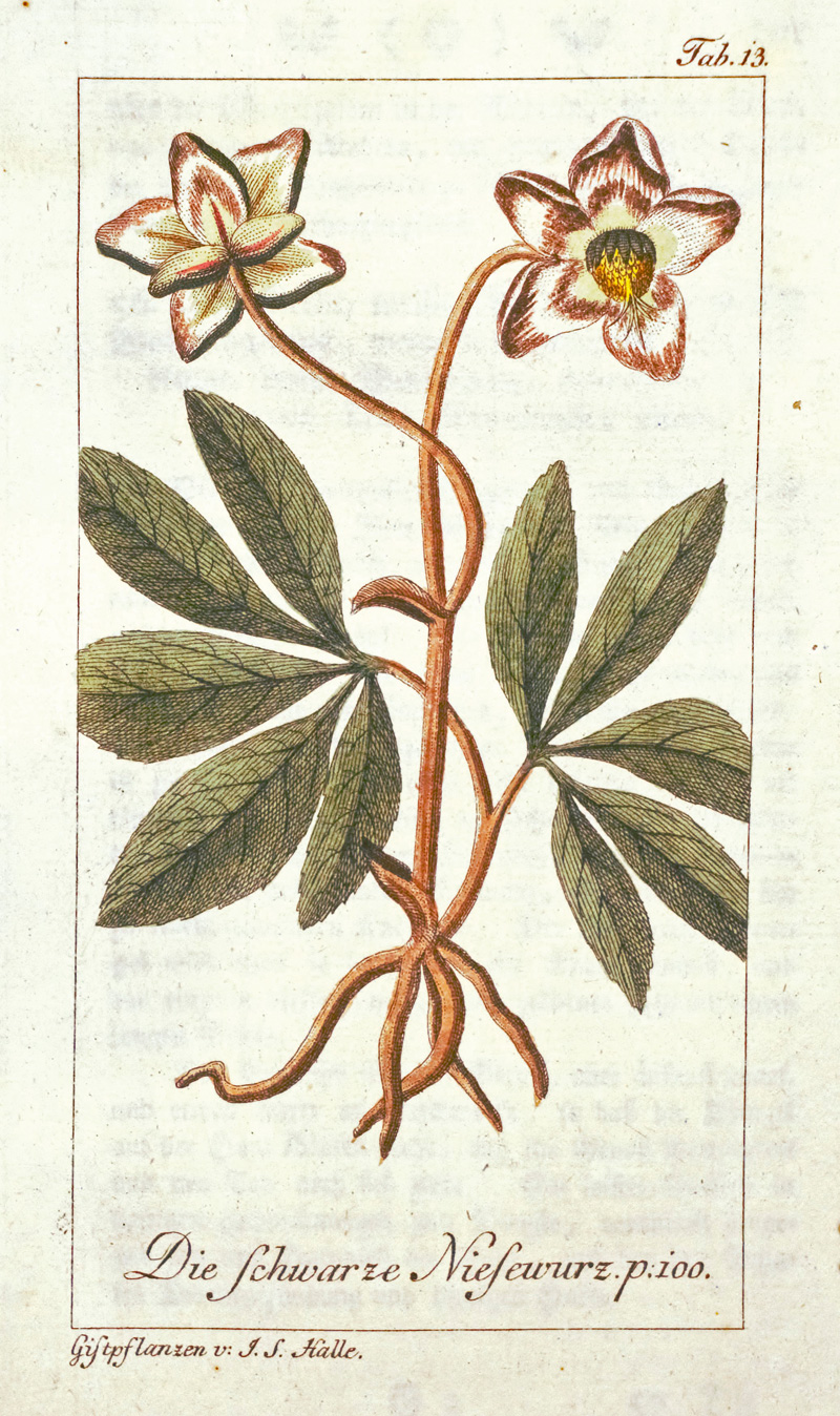 Lot 352, Auction  127, Halle, Johann Samuel, Die deutsche Giftpflanzen. Band I. Wien, Trattner, 1785