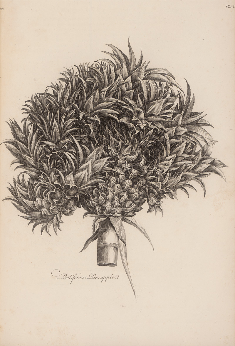 Lot 353, Auction 127, Hill, John, The vegetable system, Volume I