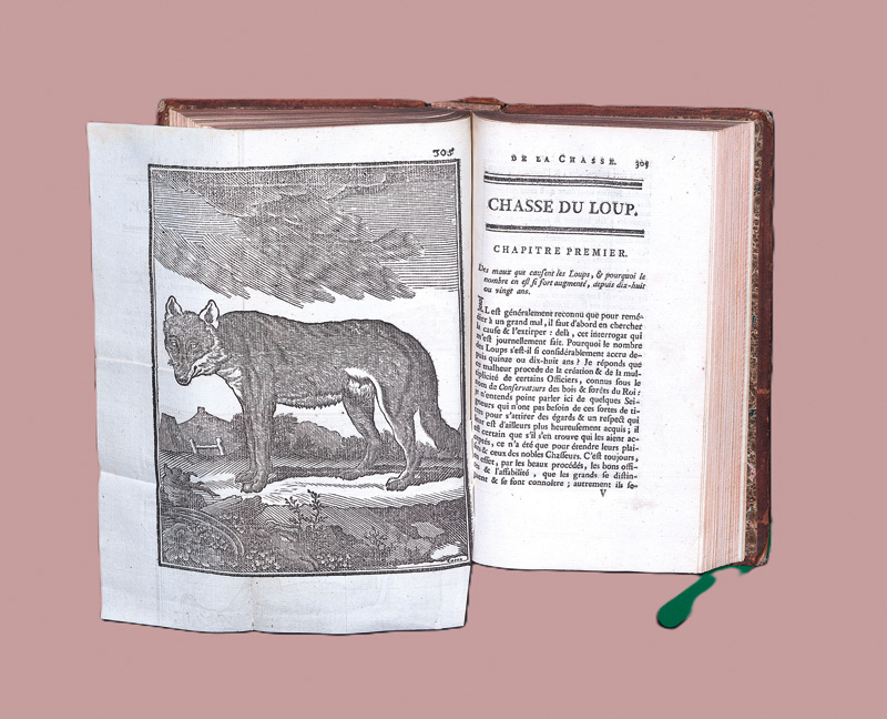 Lot 375, Auction  127, Le Verrier de la Conterie, J. B. J., Vénerie normande