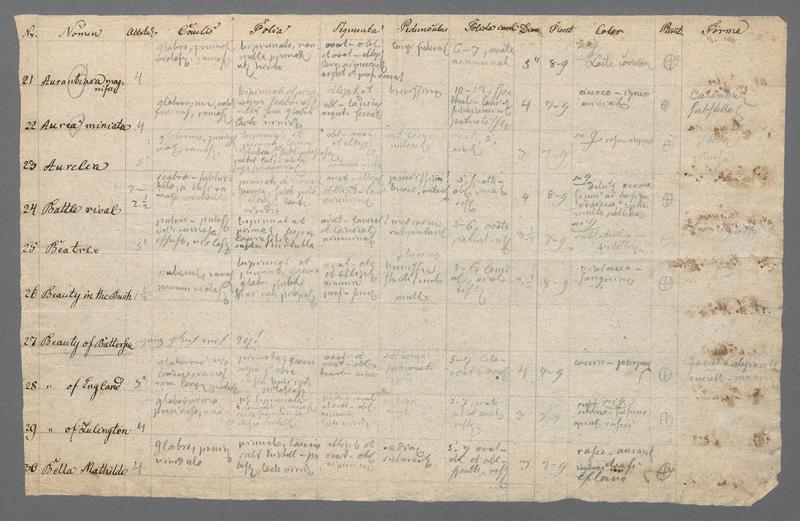 Lot 2574, Auction  127, Tausch, Ignaz Friedrich, Nomenklatur von Zierpflanzen. Ca 1820